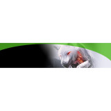 DYSK SEAGATE IronWolf ST10000VN000 10TB