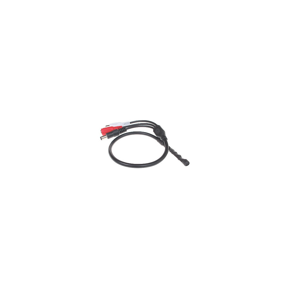 MODUŁ FONII SM-1/DC-PLUG