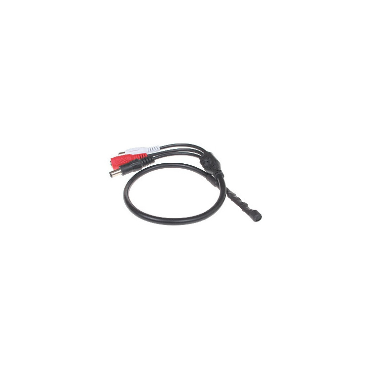 MODUŁ FONII SM-1/DC-PLUG