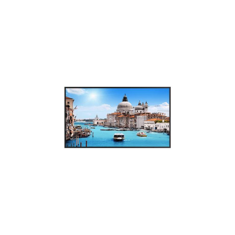 MONITOR DAHUA LM55-S200