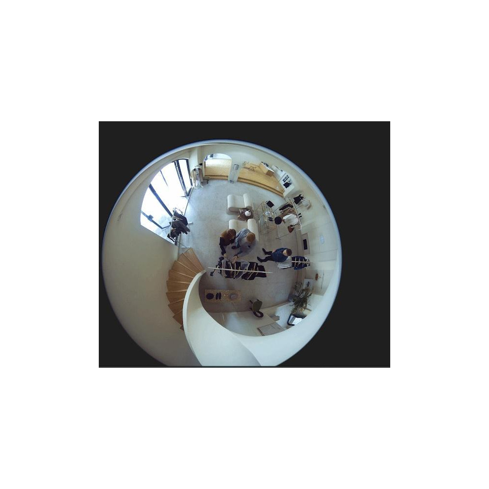 Kamera IP Reolink Fisheye FE-W Series W520 6MP 360° Wi-Fi