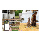Kamera IP Ezviz EB8 PRO 4G Ranger Kit 8MP z panelem słonecznym 8W 4G Wi-Fi moro