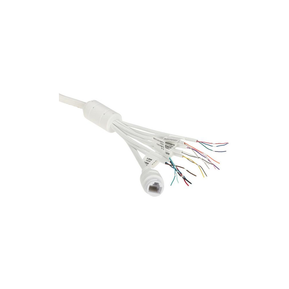Kamera wandaloodporna IP ANPR 8–32 mm Motozoom Honeywell HC25WB4R4LPR-V