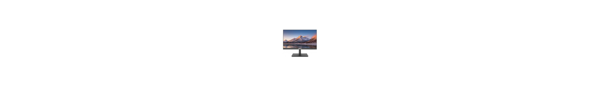 Monitory